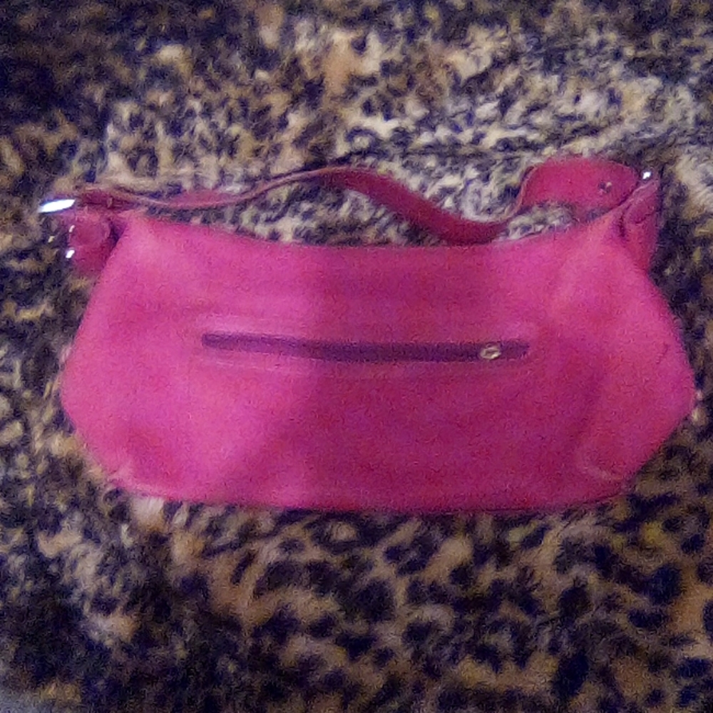 Used fossil purse